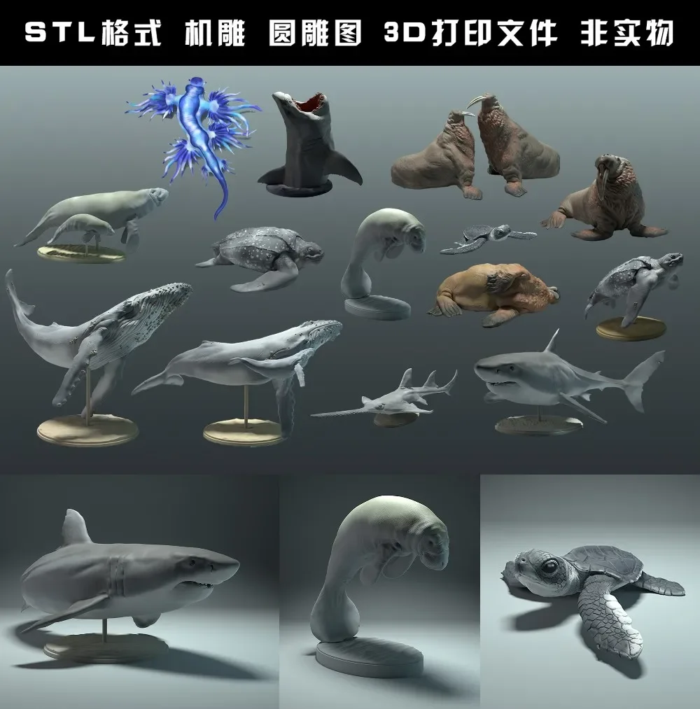 animals, polar bear, takin, wo - đánh giá và giá 3D Printing File